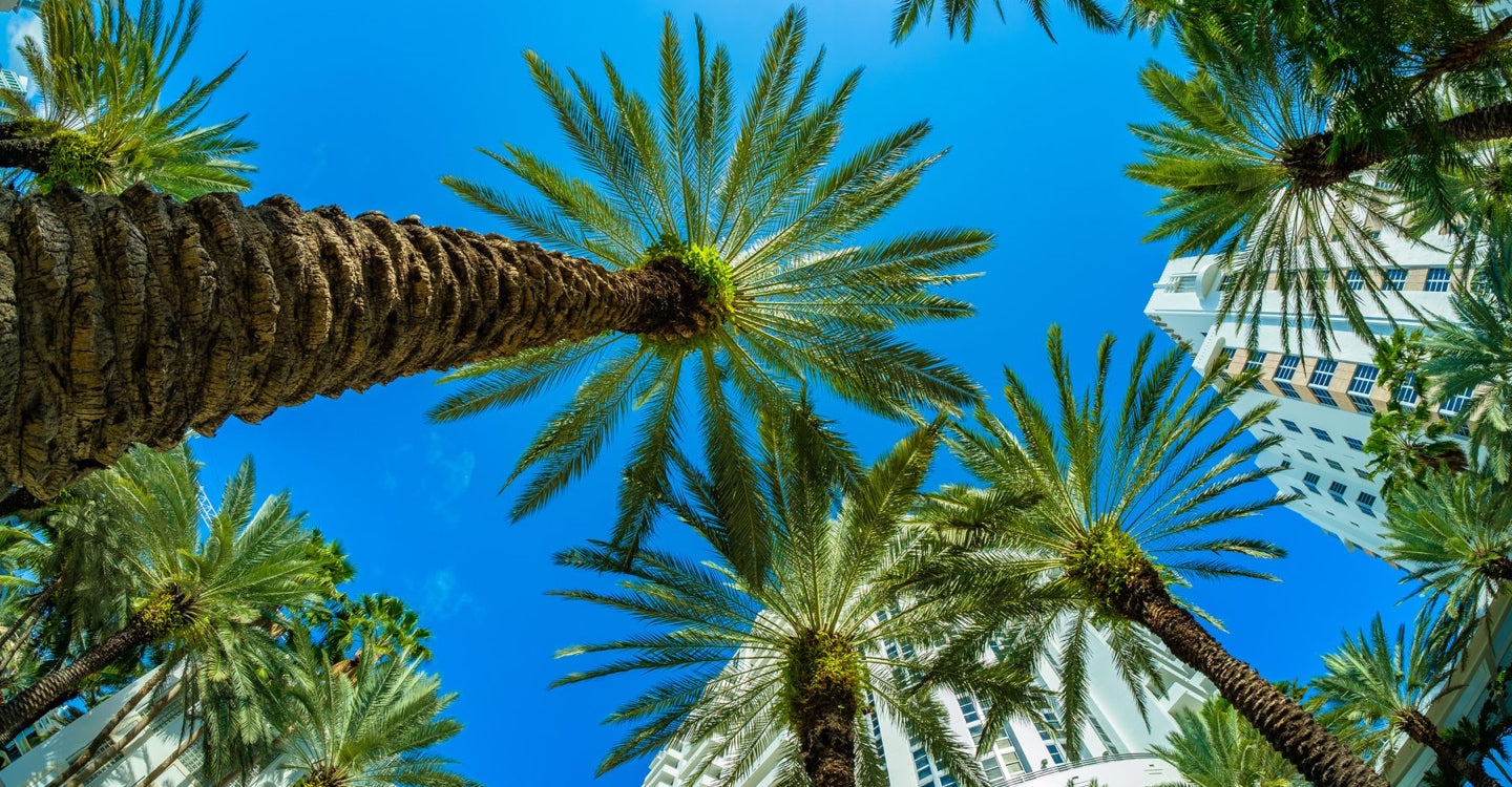 The Scent of 1 Hotel, Miami